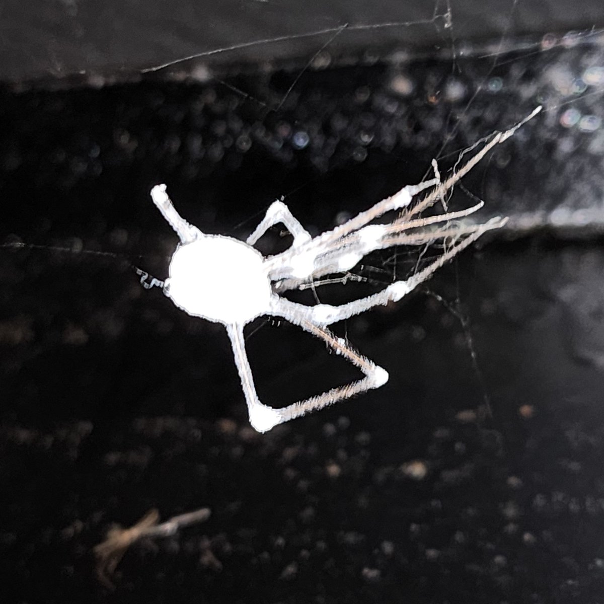 JtotheAY tweet media