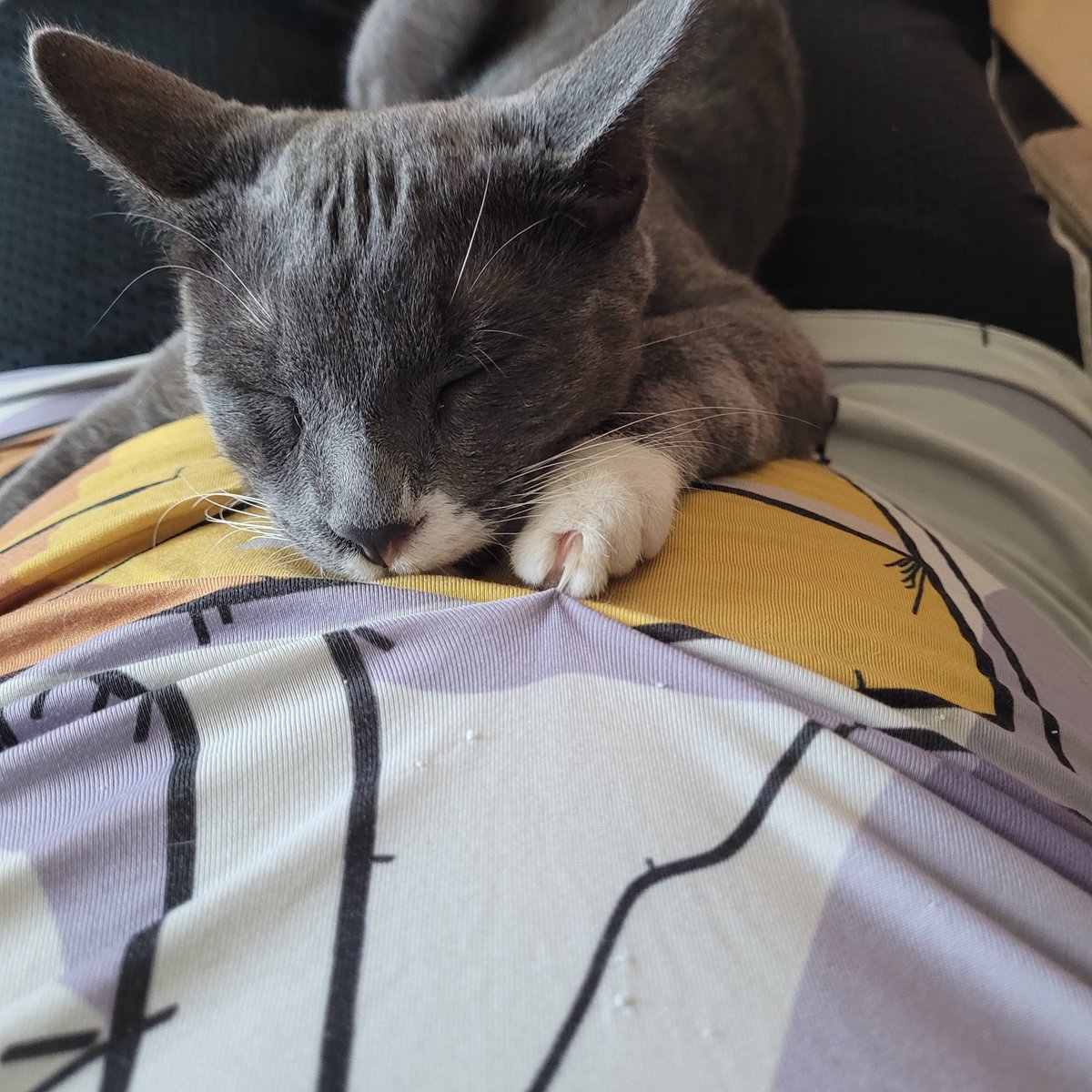 The Dragon's Treasure tweet media