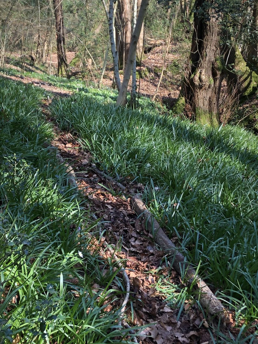 Margaret Gray tweet media