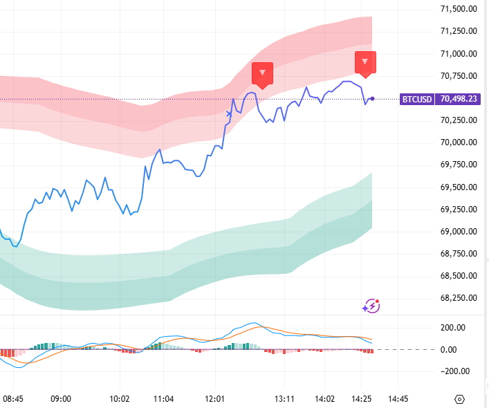 Bitcoin Wealth tweet media