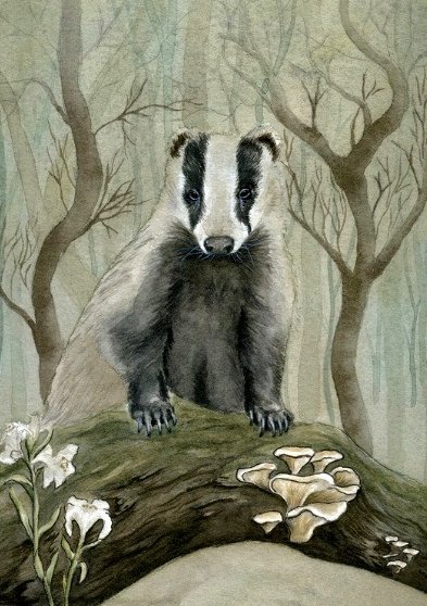 Mary-Ann Thorson𐃆 tweet media