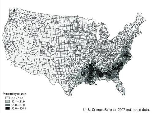 T 🇹🇹 tweet media