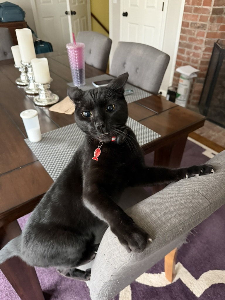 Ted Hebert tweet media