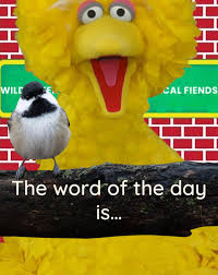 🥥 𝙇𝘼𝙏𝘼𝙈 🥥 tweet media