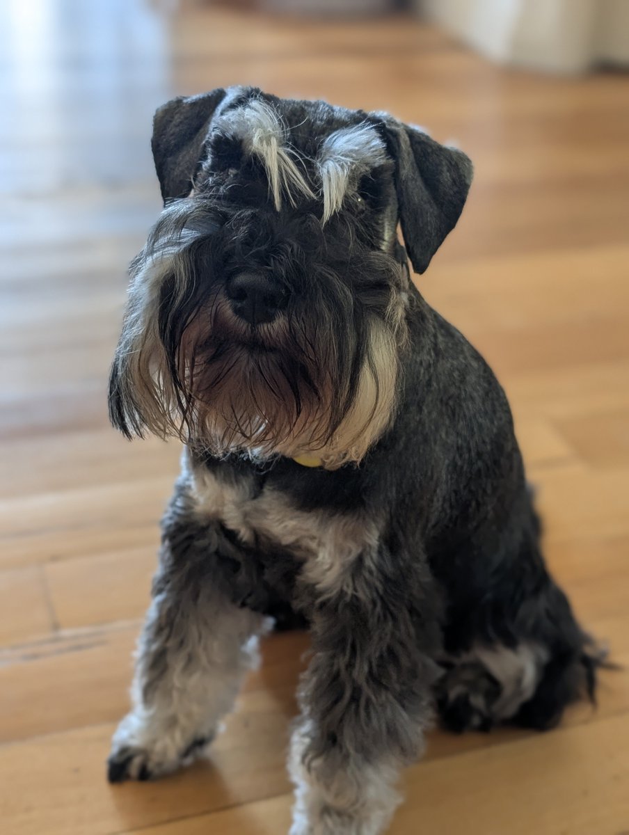 AaronSuthie tweet media