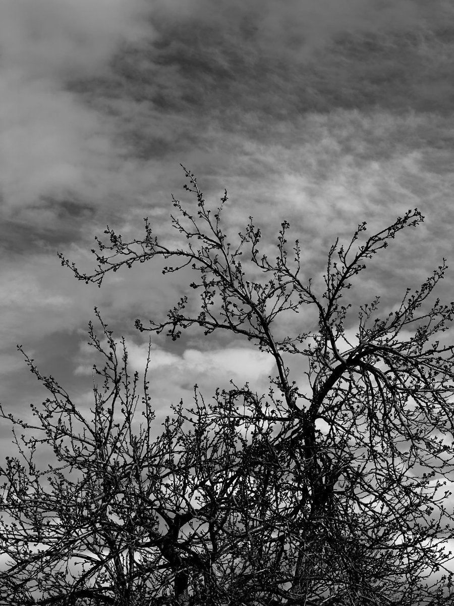 Eric Subpar tweet media