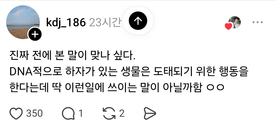스레드는 오늘도 tweet media