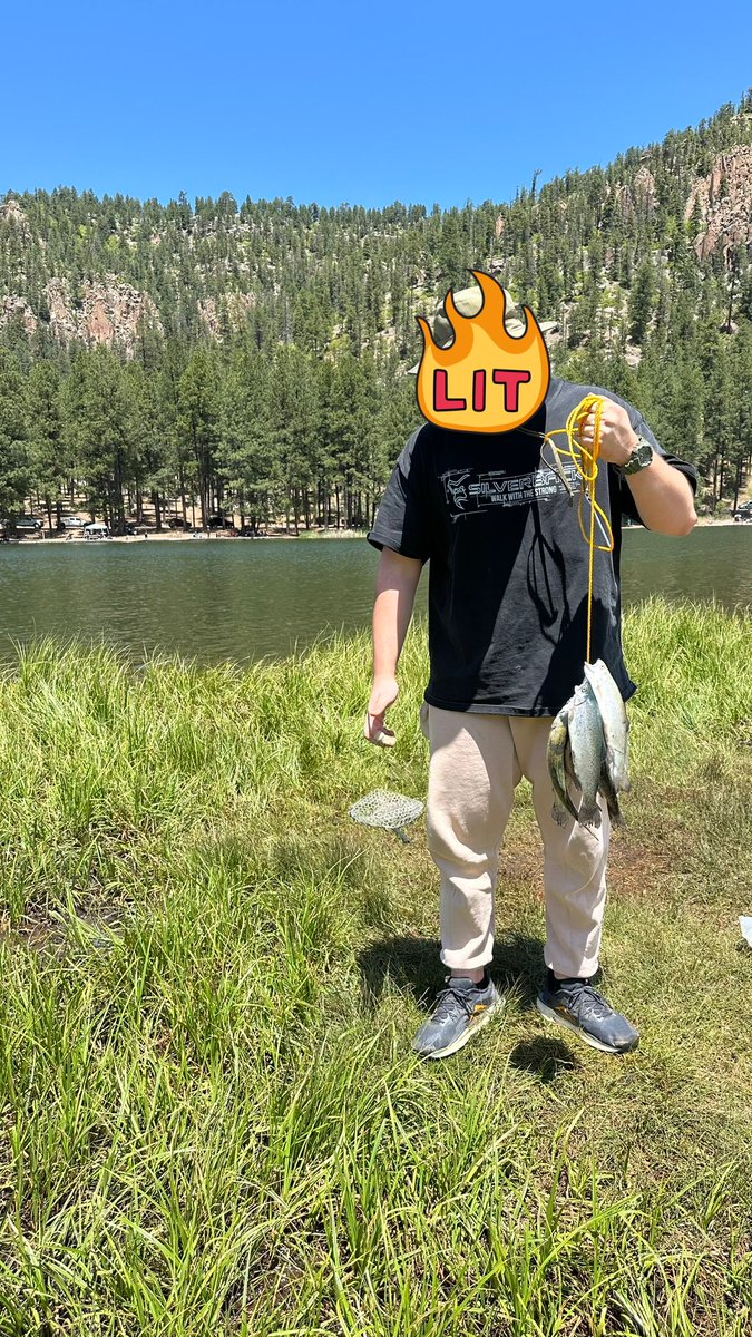 tayyibisikenn tweet media