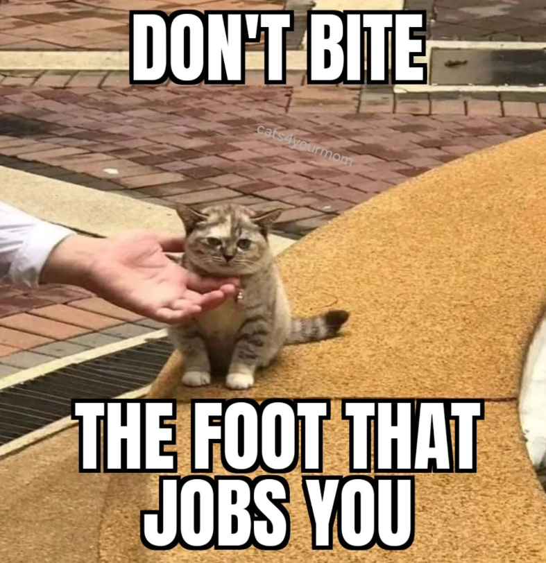 FurryFollowing tweet media