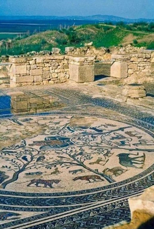 Waken Minds 𓂀 tweet media