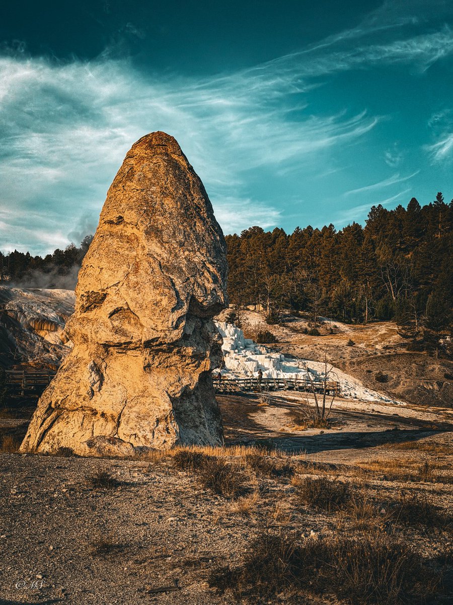 GritsAndGrace tweet media