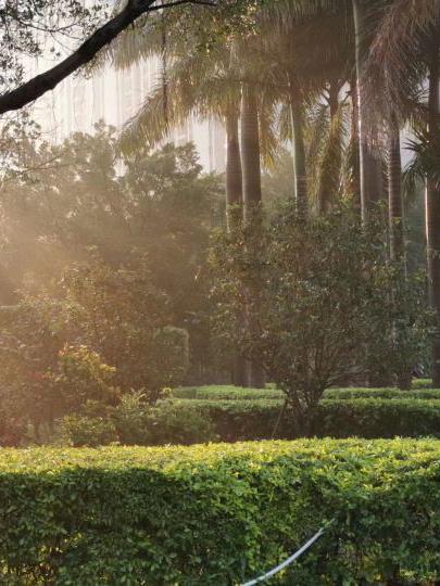 RambukaTV tweet media