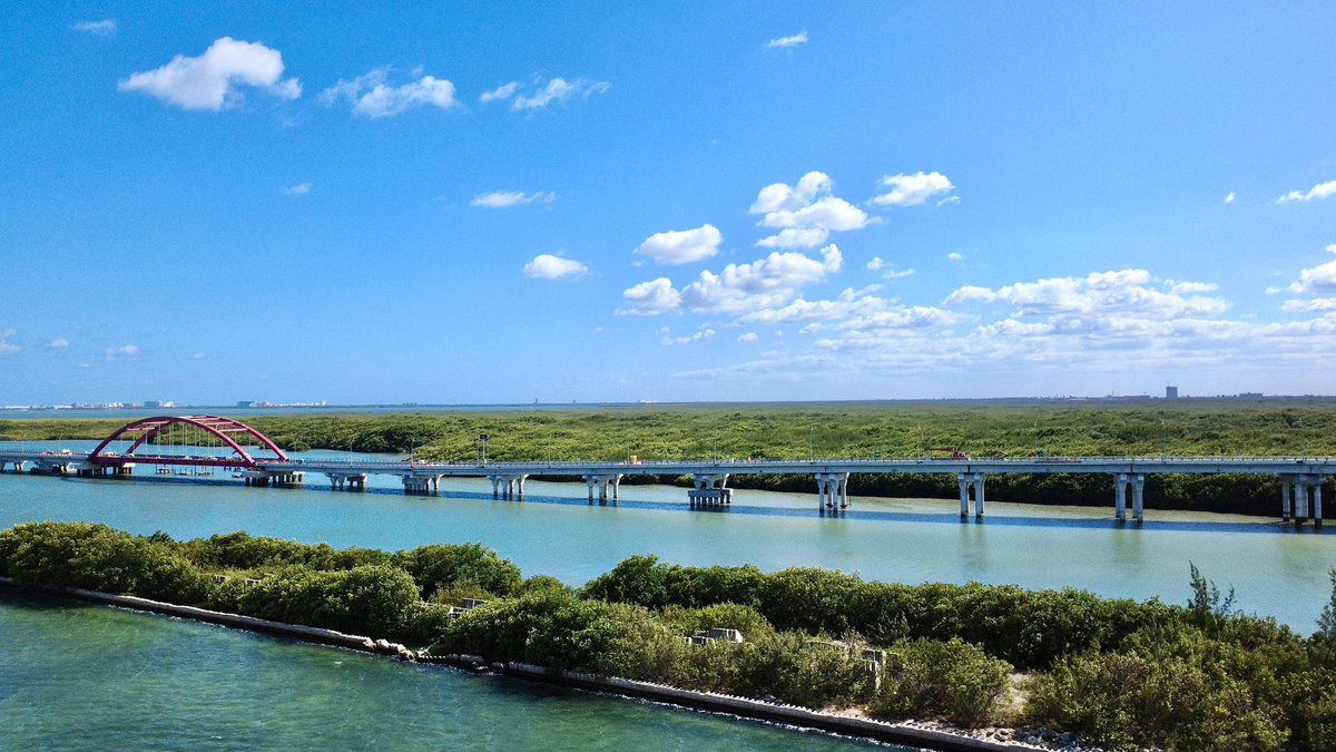 SICT México tweet media