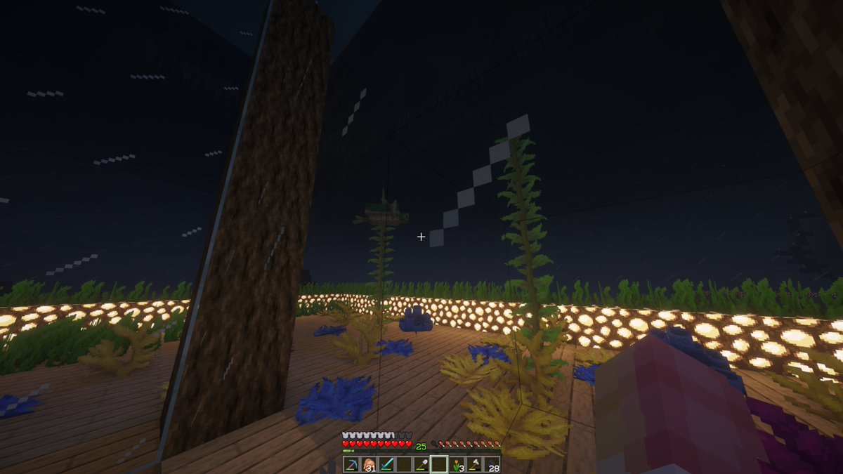 CloverWzy tweet media