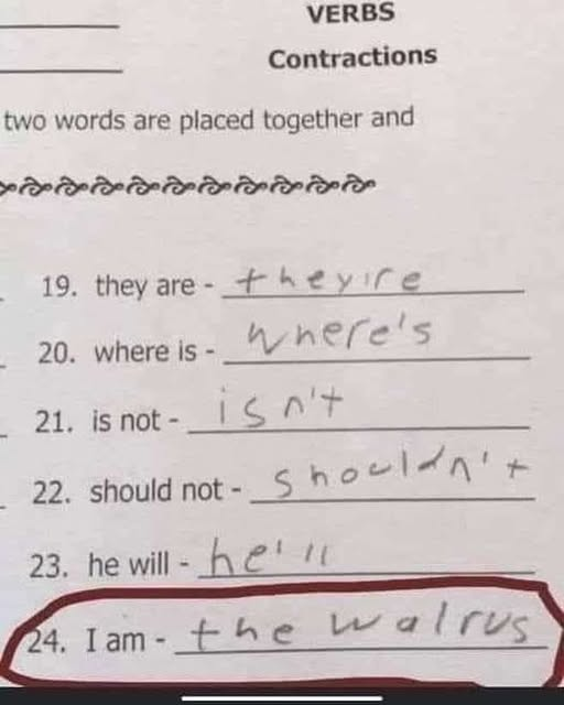 FlyFifer tweet media