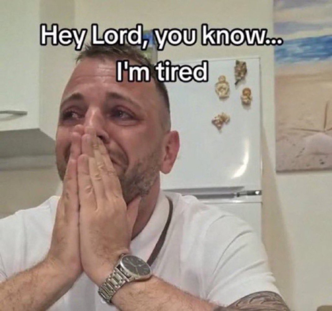 midi 🌼🧸🐱 tweet media