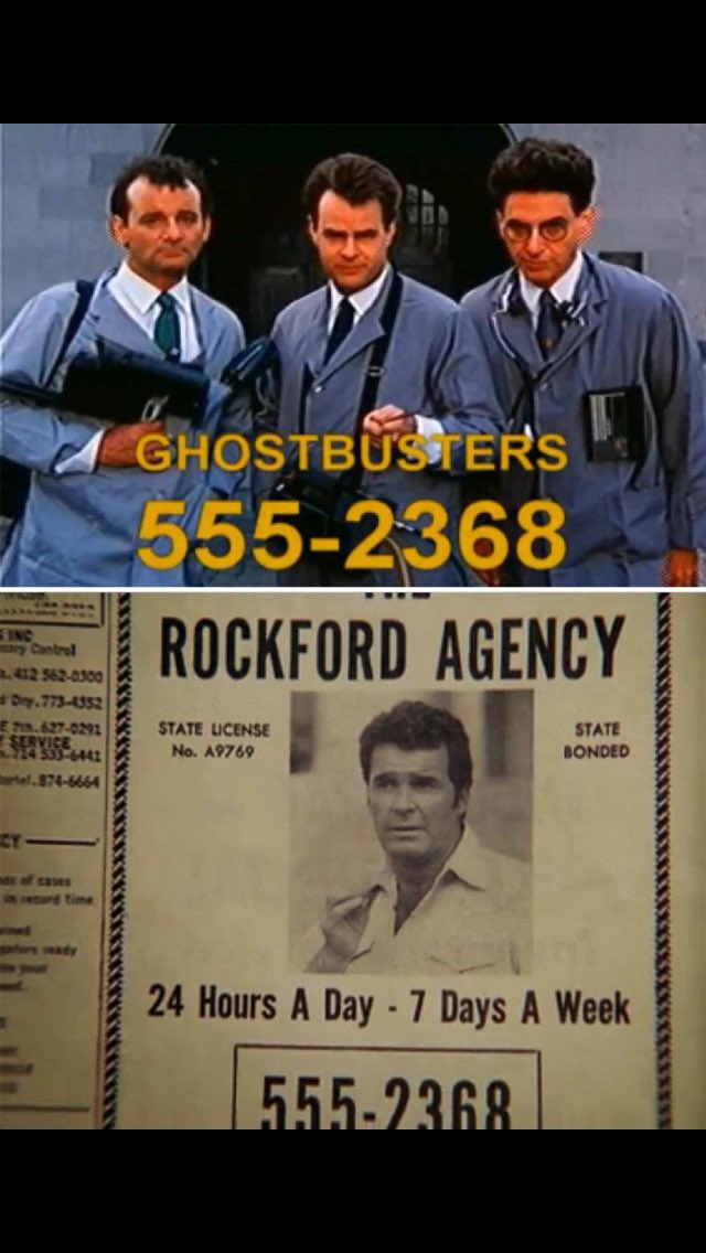 David Guy tweet media