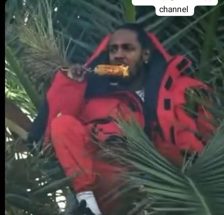 Babylon😎🥷 tweet media