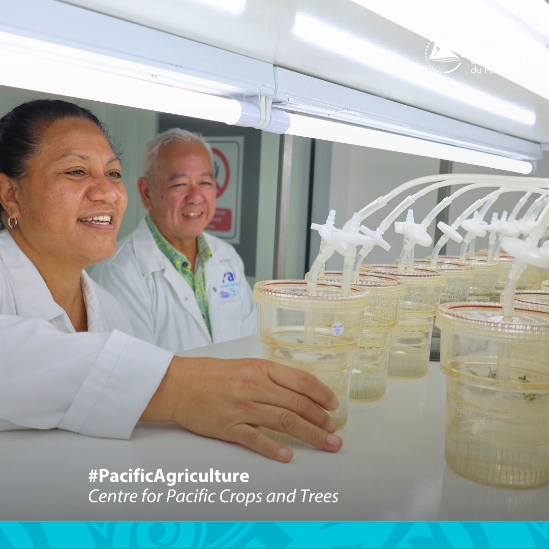 Pacific Community tweet media