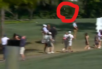 GetMoHillary tweet media