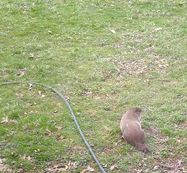 John🩻 tweet media