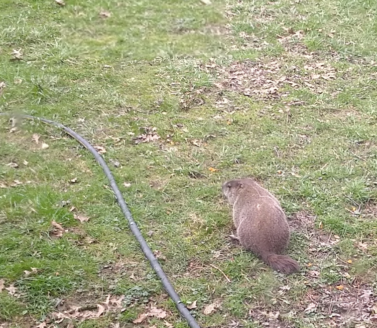 John🩻 tweet media