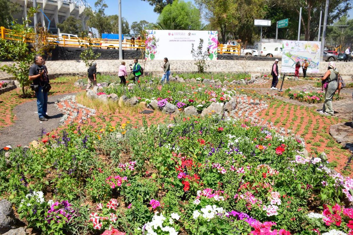 Secretaría de Obras y Servicios CDMX tweet media