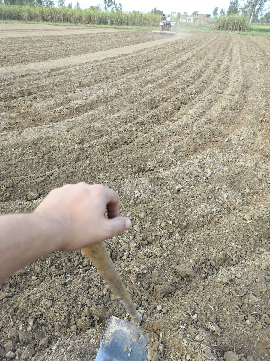 Charly Wargnier tweet media