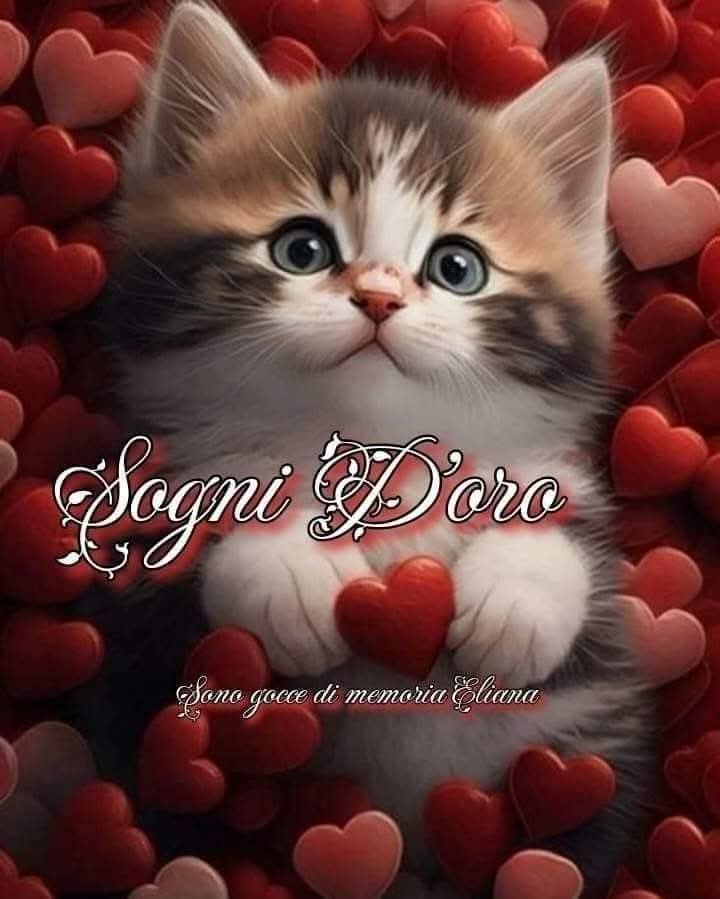 Patrizia💙 tweet media