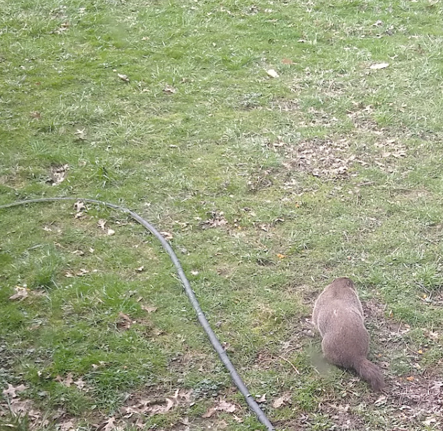 John🩻 tweet media