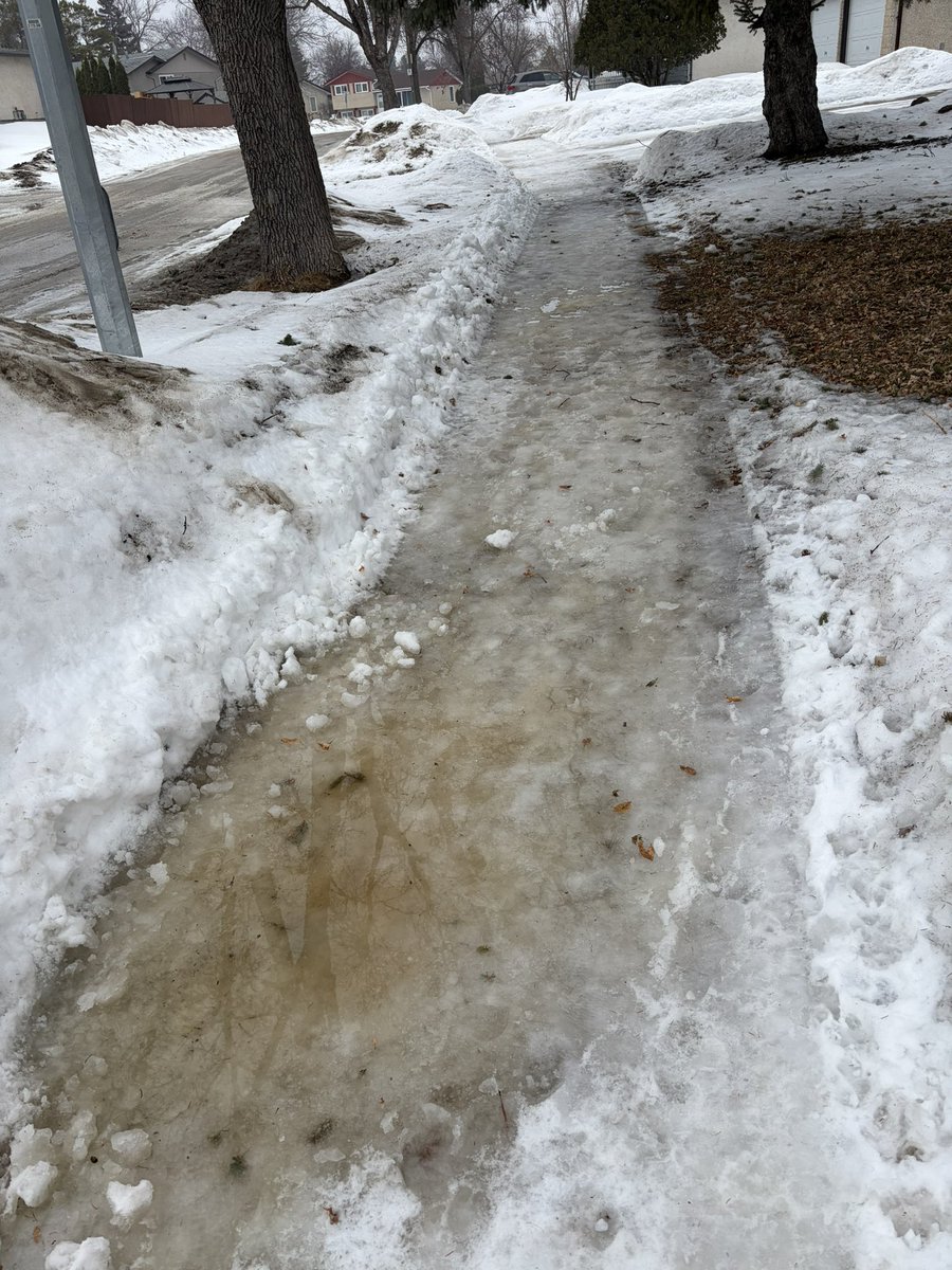 加拿大送外卖中年大叔日记-移民火星中 tweet media