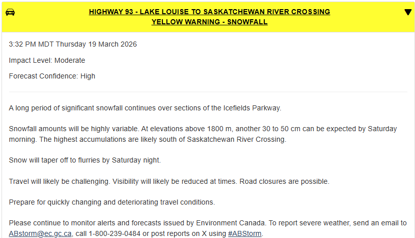 Morgan Laidler 🇨🇦 tweet media