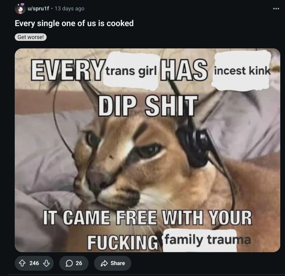 Reddit Lies tweet media