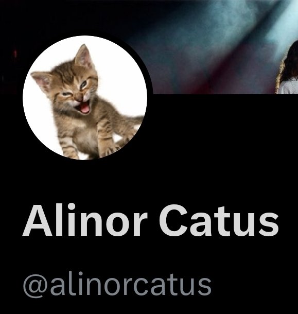 <a href="/Roaring_puppy_8/">Roaring puppy</a> <a href="/alinorcatus/">Alinor Catus</a> <a href="/TheRoaringKitty/">Roaring Kitty</a> A new profile picture,

Tilted counter-clockwise. 

10/4.

🔥