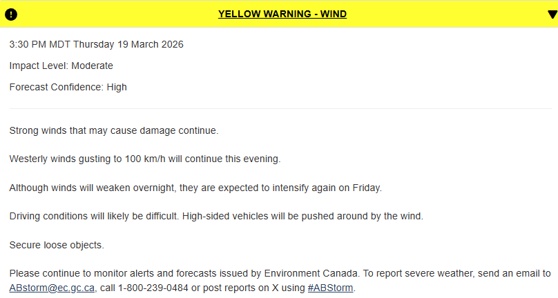 Morgan Laidler 🇨🇦 tweet media