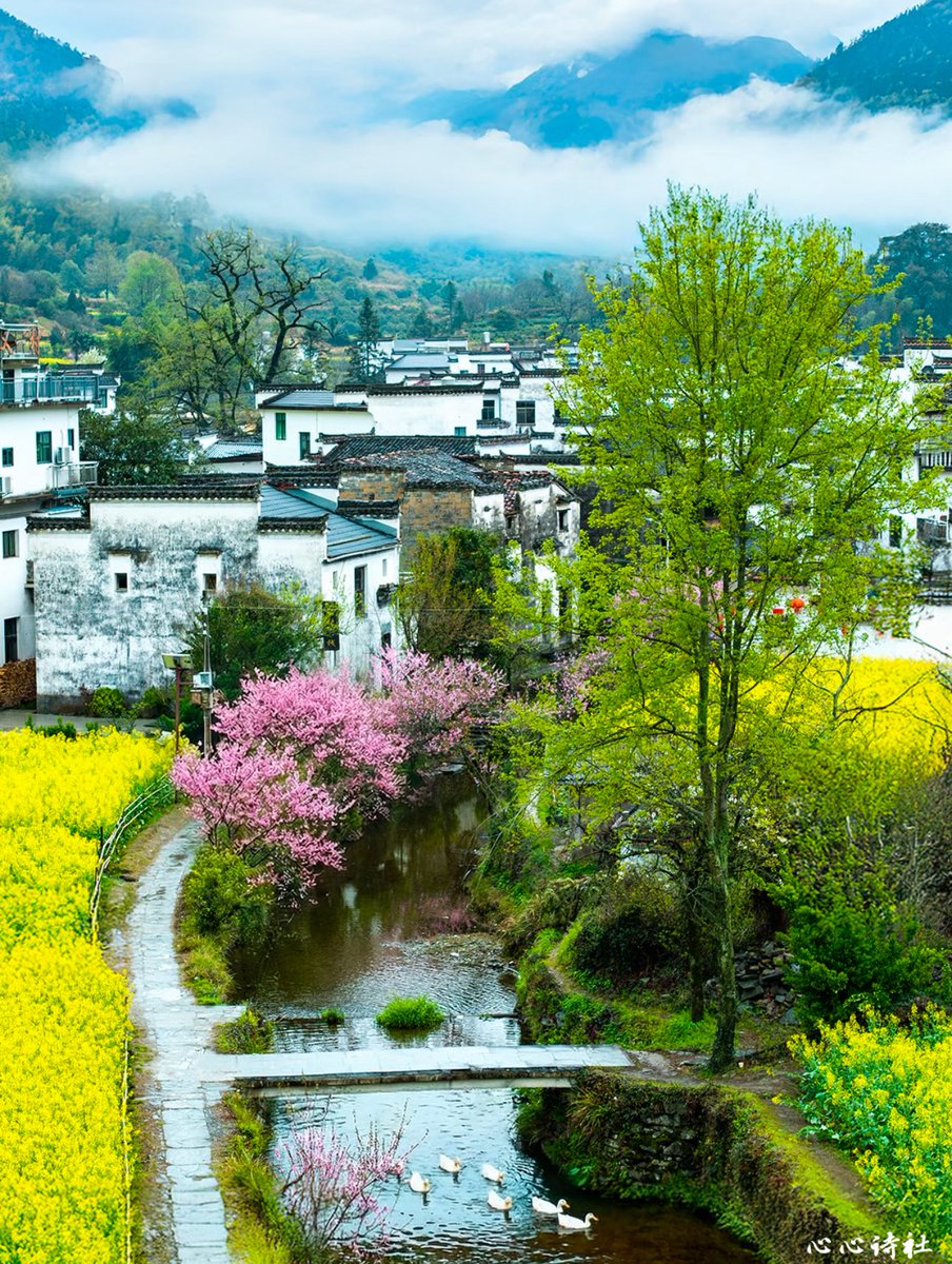 心心（Liu Yu） tweet media