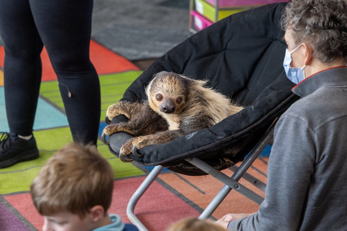 Elmhurst CUSD 205 tweet media