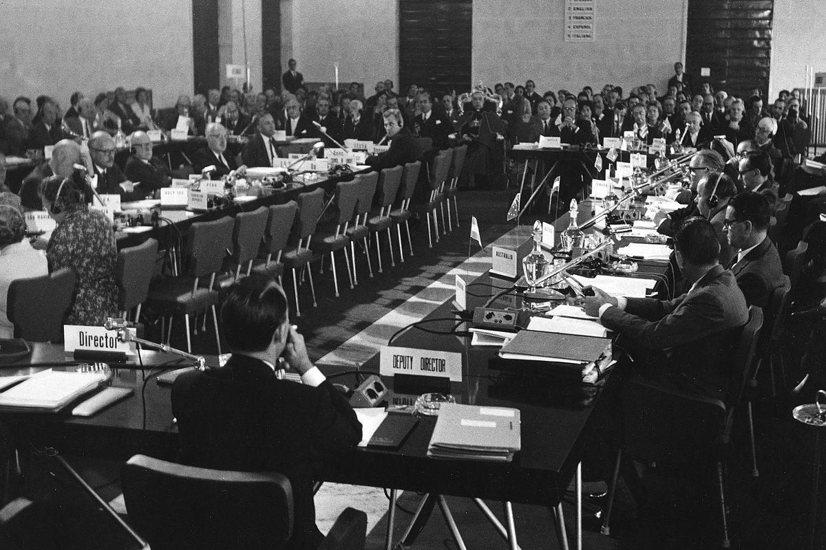 IOM - UN Migration 🇺🇳 tweet media