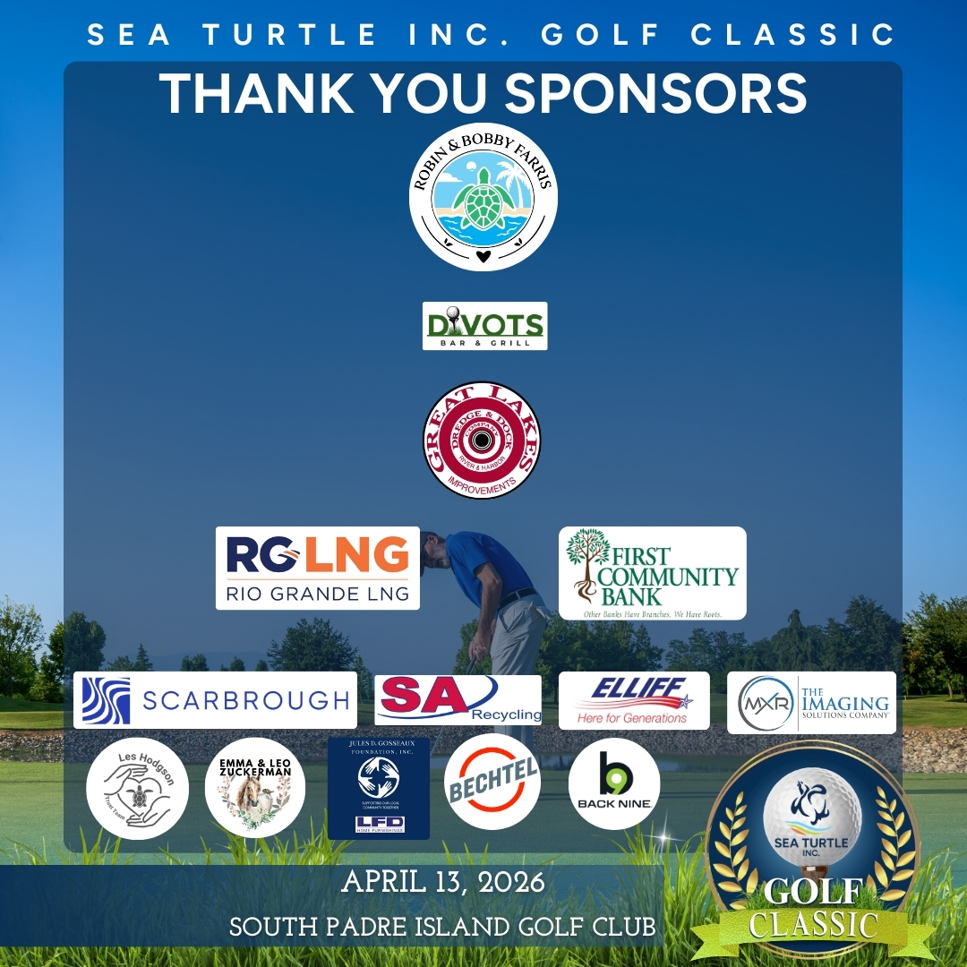 Sea Turtle, Inc. tweet media