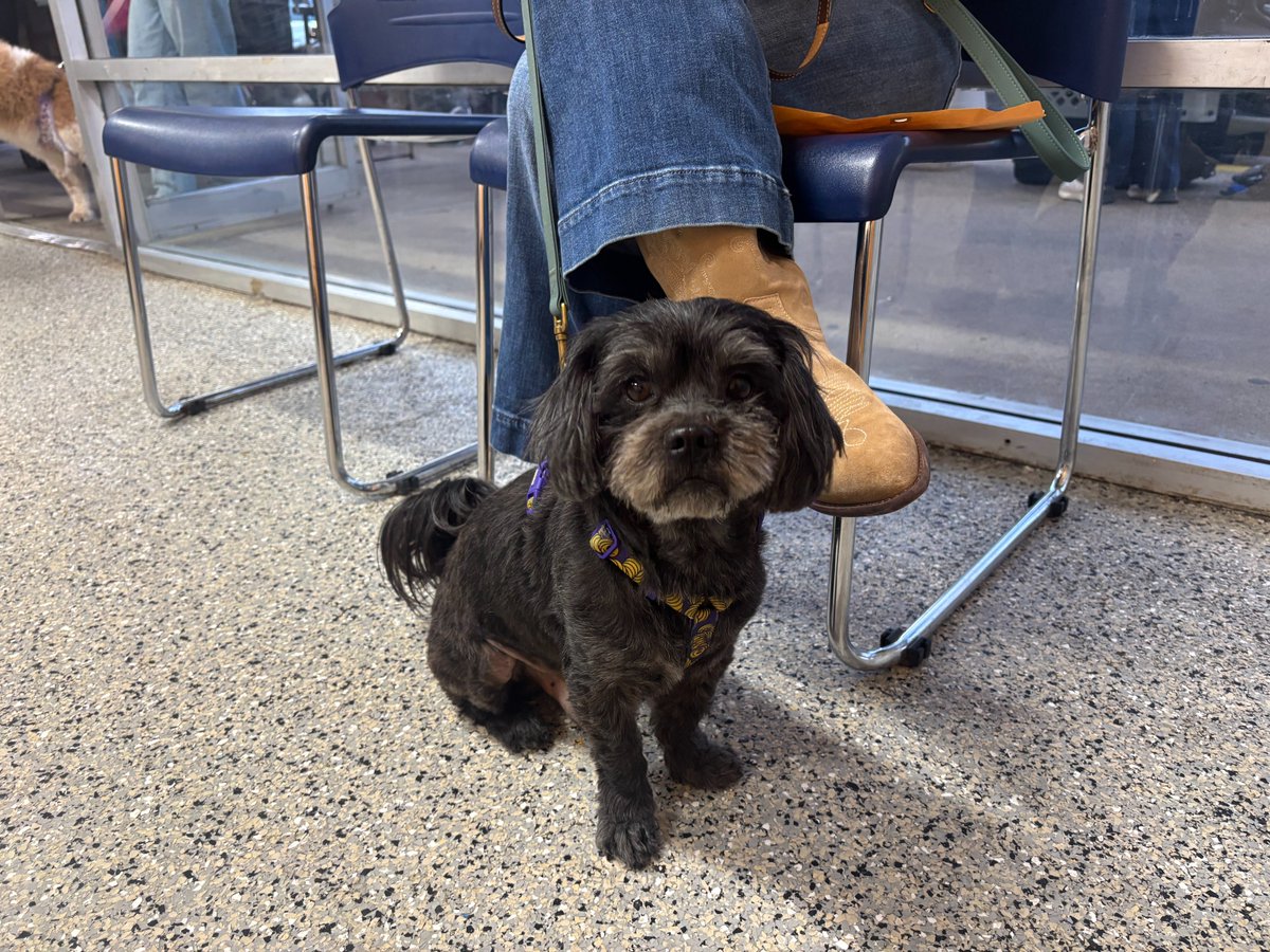 Spay Neuter Network tweet media