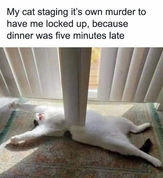 𝔻𝕦𝕤𝕥𝕝𝕒𝕟𝕕 𝔽𝕒𝕚𝕣𝕪𝕥𝕒𝕝𝕖 tweet media