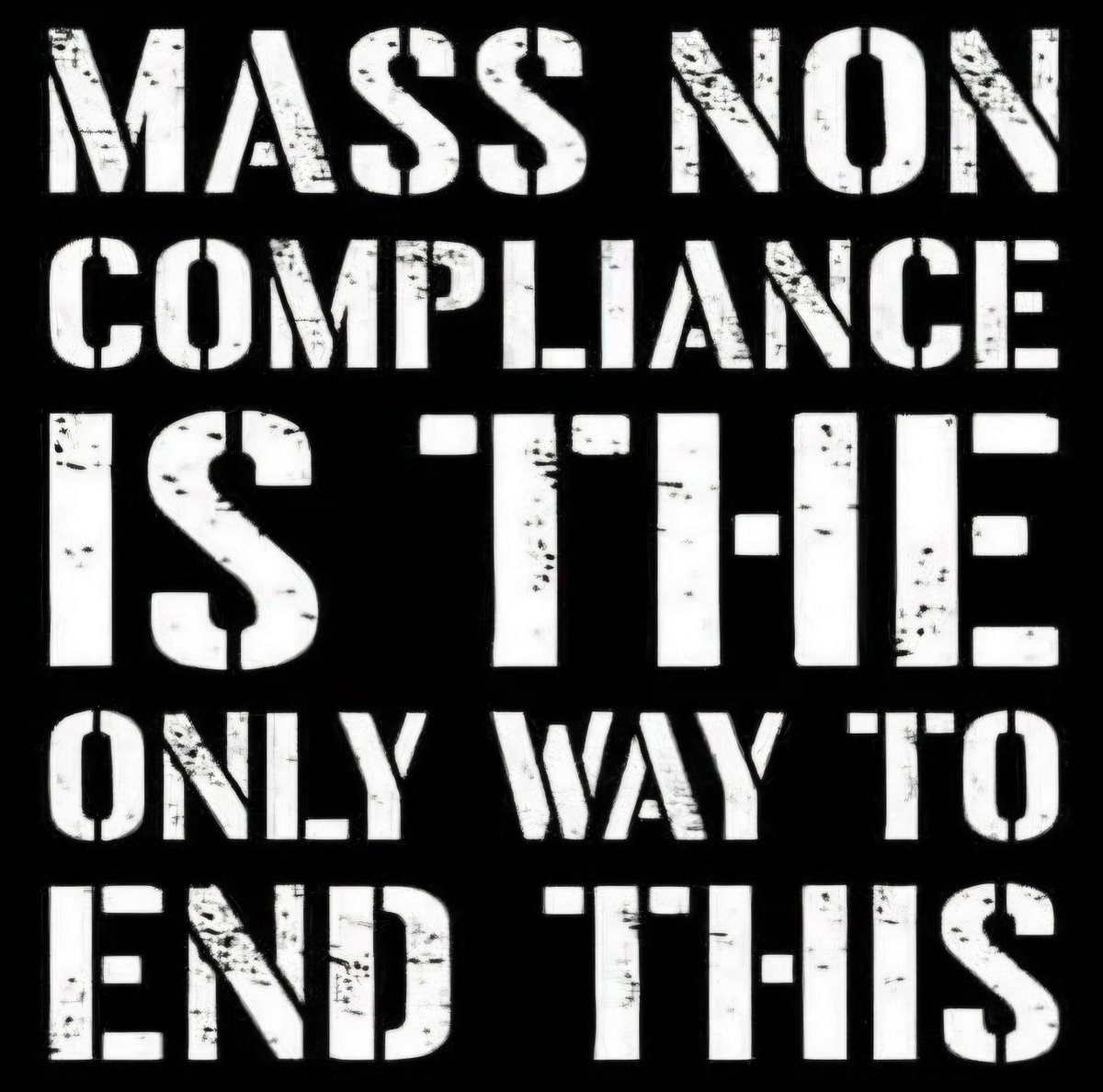 Brando88🇺🇲🇺🇲🇺🇲🍻 tweet media