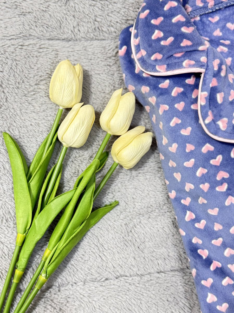 Delulu 💨 tweet media