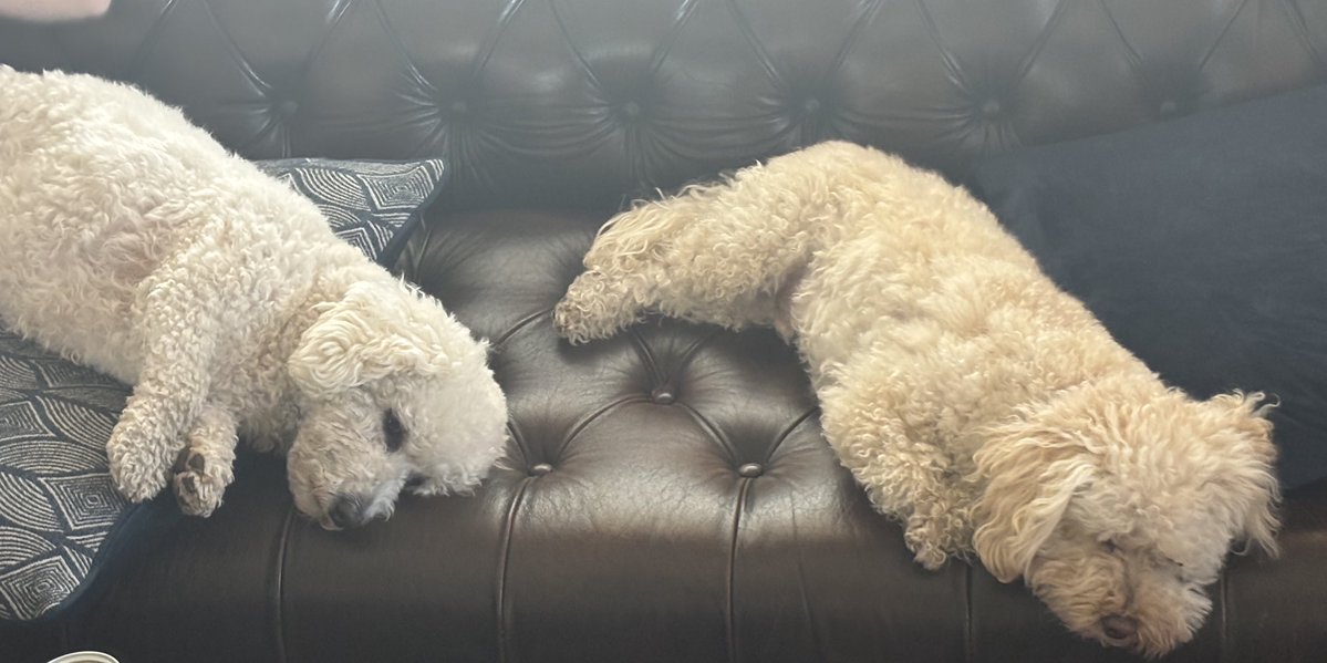 Morlockmoder tweet media