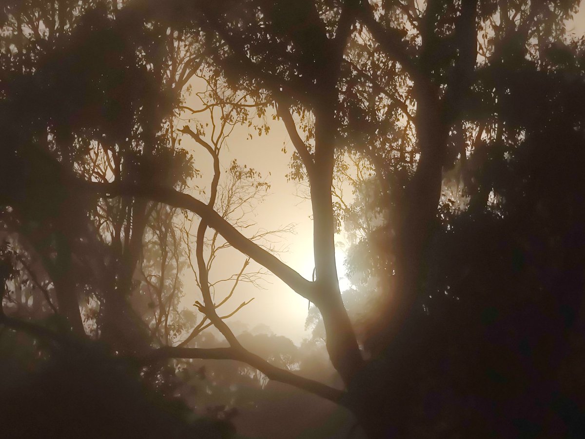 Molly ✨🖤✨ tweet media