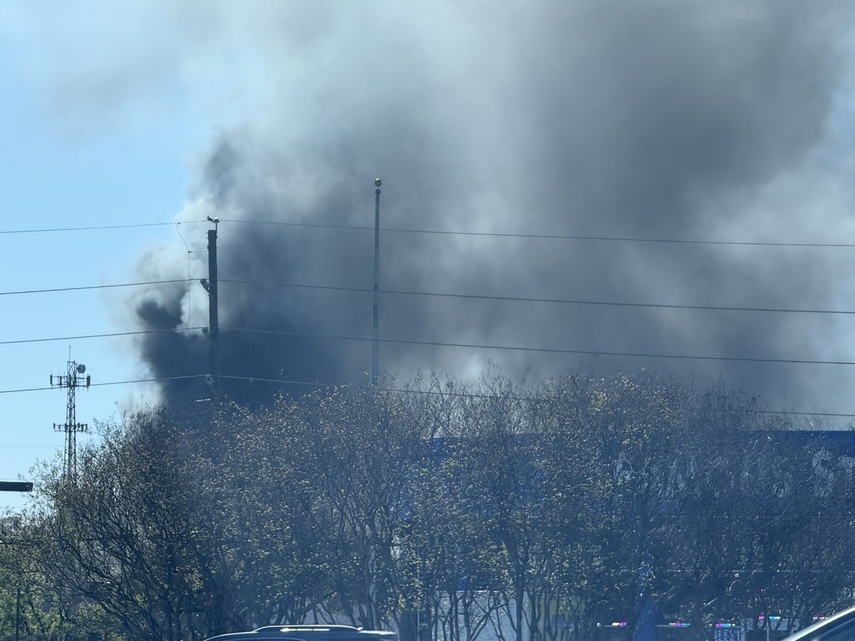 Jess Fields tweet media