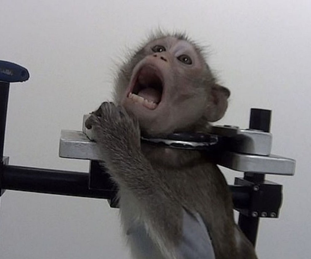 Chadia Bailet tweet media