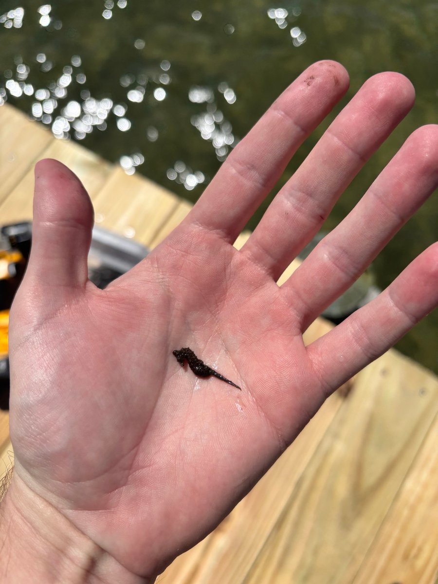 Pirateborn200yrs2late tweet media