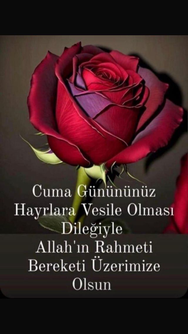 Abdullah İMİR tweet media