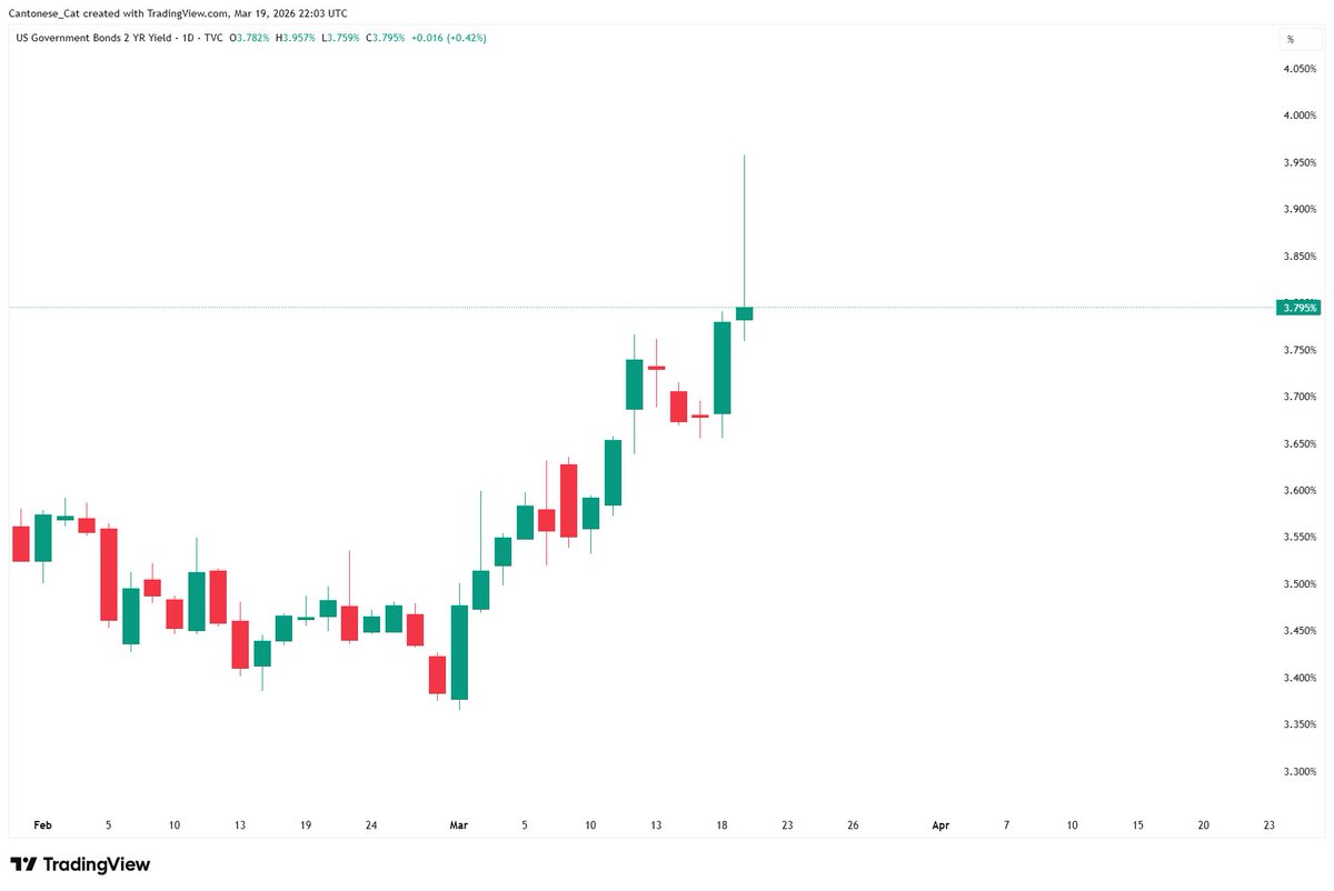 Cantonese Cat 🐱🐈 tweet media
